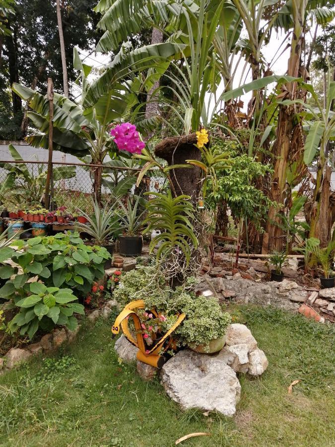La Famosa Costillas A La Lena Jarabacoa Esterno foto